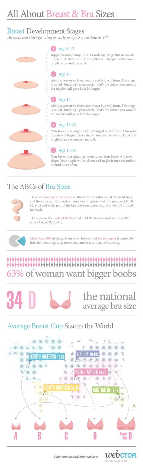 the perfect boobs|What do the Perfect Breasts look like, perfect boobs, ideal breast ...